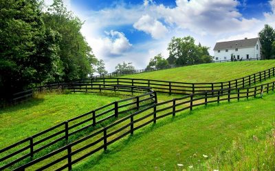 Eigen woning in het buitenland